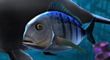 tactica-work-one-ocean One Ocean: A Transmedia Cross-Platform Production