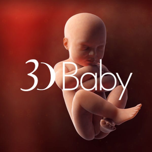Tactica Interactive 3D Baby Pregnancy Tracker