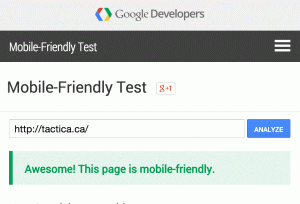 google-mobile-friendly-test-pass